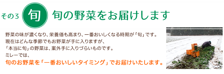 野菜