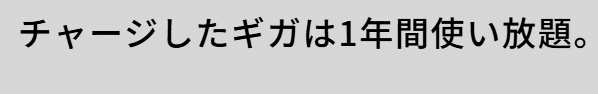 1年間
