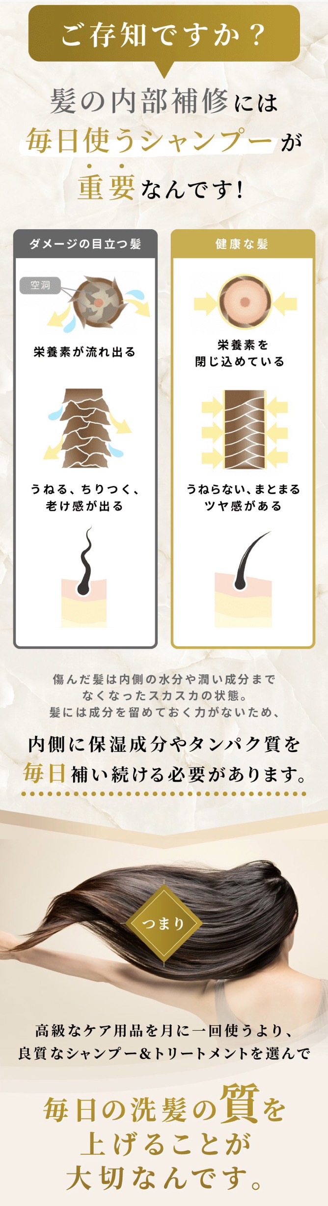 シルクザリッチ