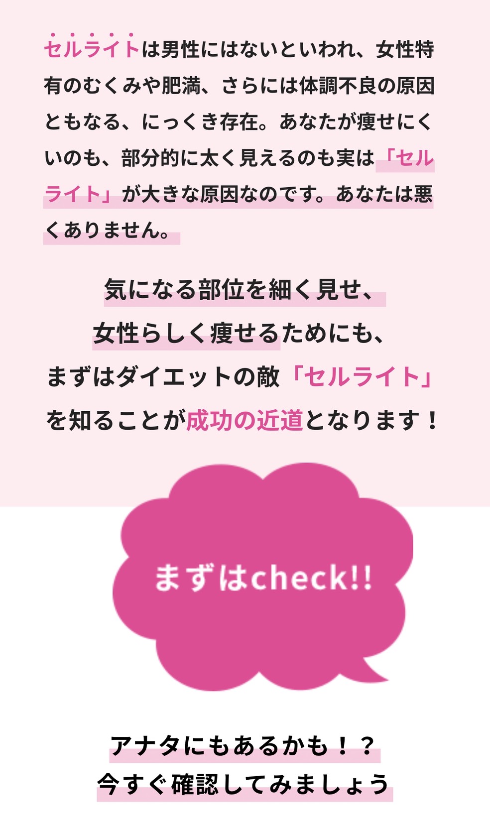 パーフェクトライン