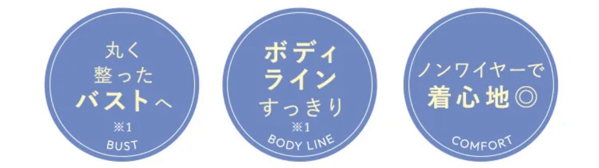 viage　ヴィアージュ　ナイトブラ