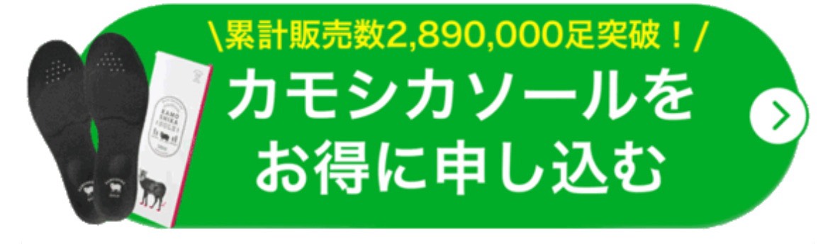 カモシカソール　インソール　ダイエット
