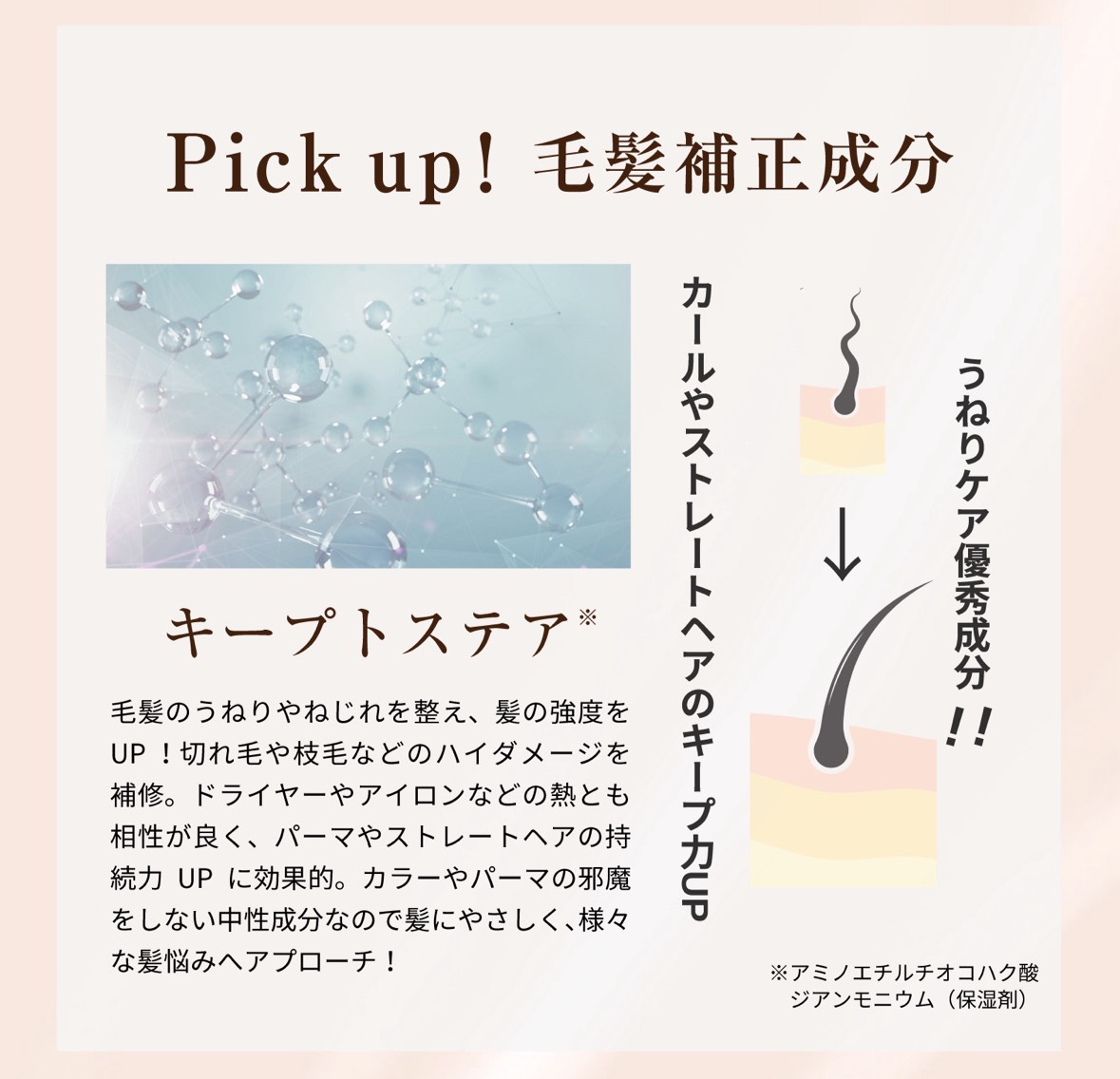 silktherich　シルクザリッチ　シャンプー　トリートメント