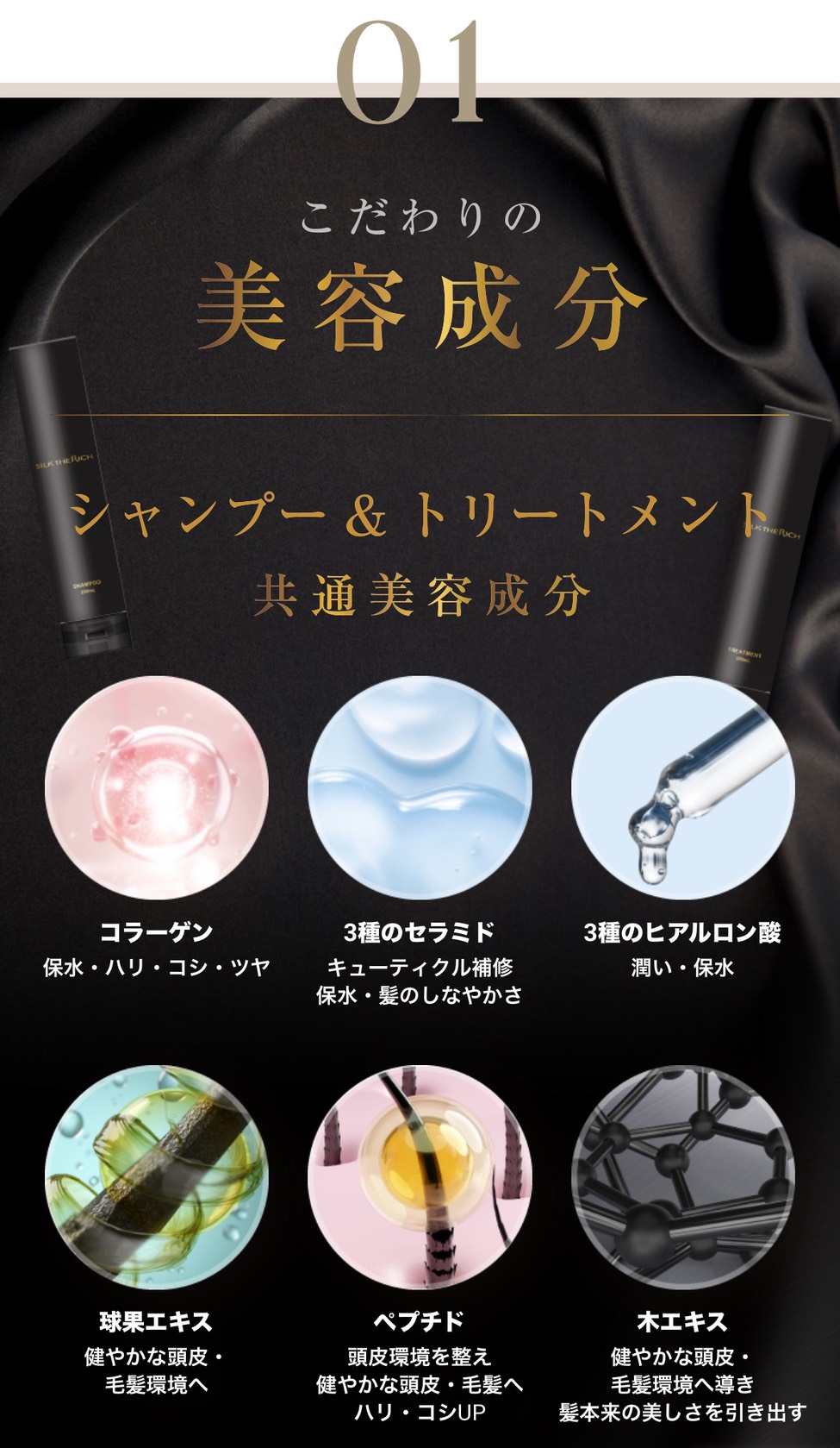 シルクザリッチ　シャンプートリートメント　黒