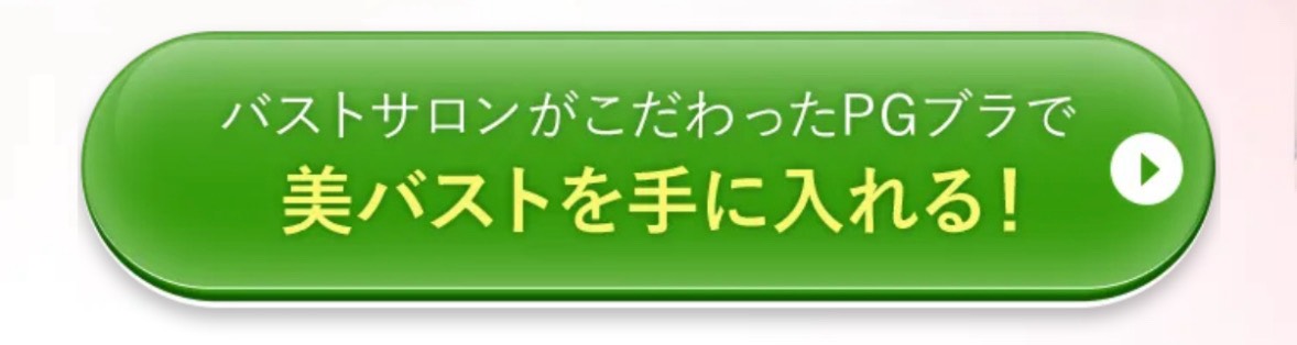 PGブラはバストサポートナイトブラ