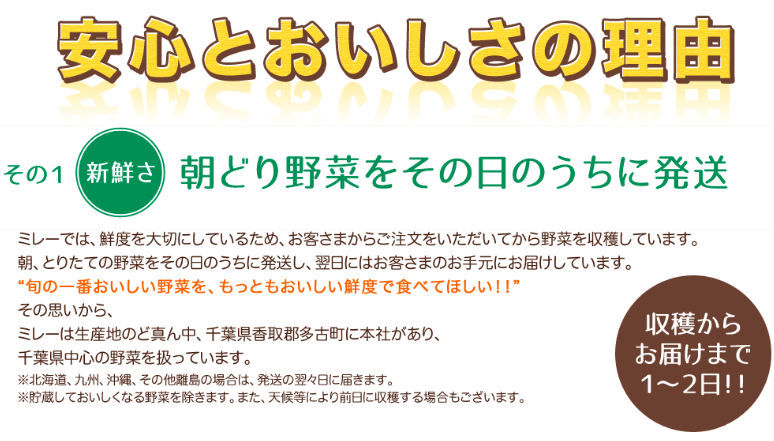 野菜 